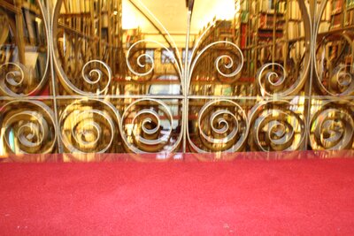 Iron work AD White Library