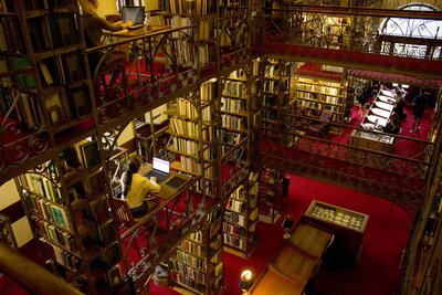 Studying in the White Library